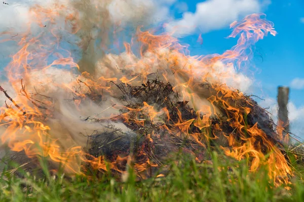 Dans alev ile yanan samanlık