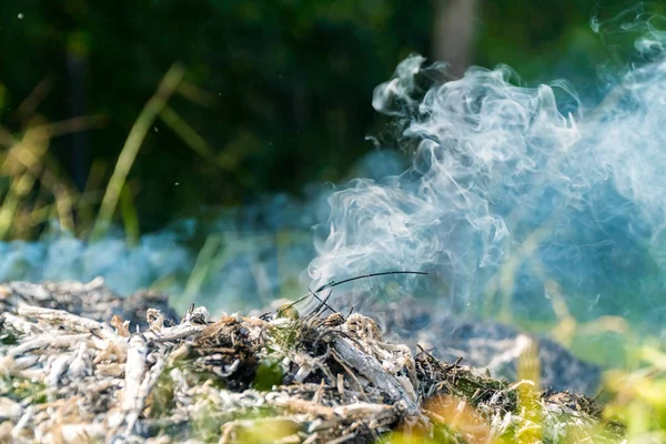 Kül kalıntıları ve şenlik ateşinden çıkan ince ve sönen duman