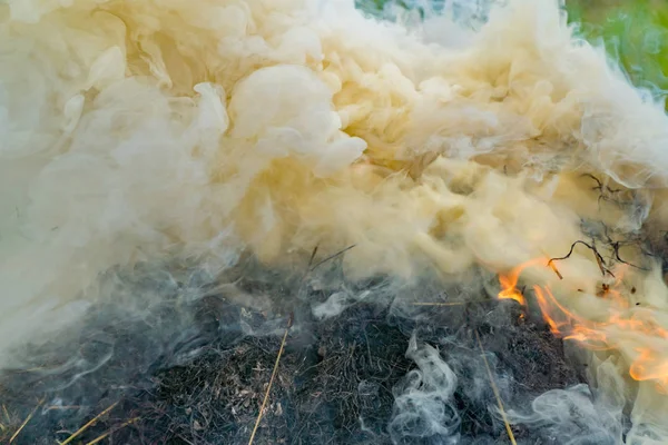 Yanan samanlıktan yoğun duman