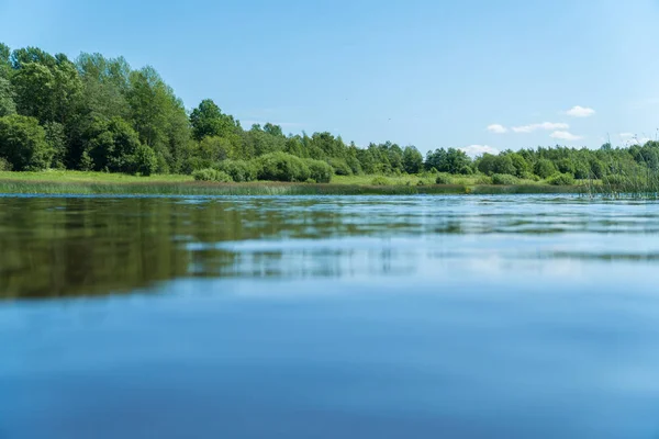 Sakin kırsal nehir ve orman manzarası