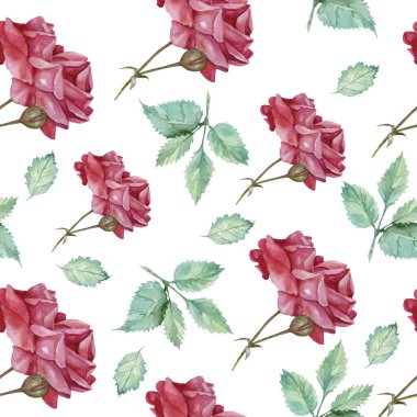 Beyaz arka planda suluboya kırmızı güller deseni