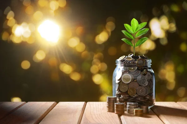 Imagen Pila Monedas Con Planta Encima Tarro Vidrio Para Negocios — Foto de Stock