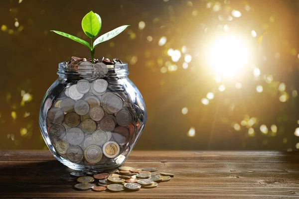 ビジネスの成長 経済概念を保存用ガラスの瓶の上に植物の硬貨の山の画像 — ストック写真