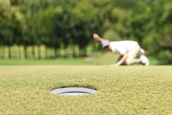Homem Golfista Linha Verificação Para Colocar Bola Golfe Grama Verde — Fotografia de Stock