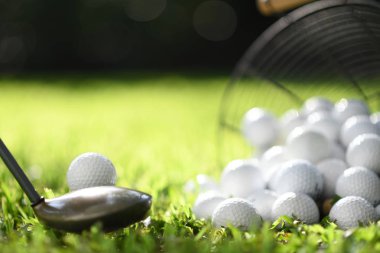 Golf topu üzerinde yeşil çim uygulama için vurdu olmak için hazır