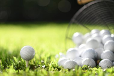 Golf topu tee ve golf topları sepeti uygulama için yeşil çimenlerin üzerinde