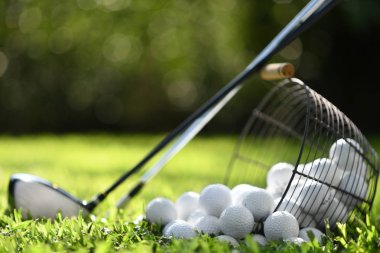 Sepet ve golf kulüpleri için pratik yeşil çimenlerin üzerinde golf topları