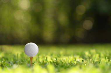 Golf topu golf sahası arka plan ile yeşil çimenlerin üzerinde