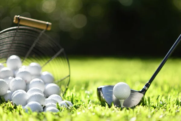 Golf Ball Green Grass Ready Struck Practice — Stock Photo, Image