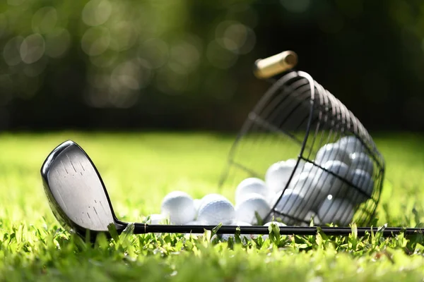 高尔夫球俱乐部和高尔夫球在篮子在绿草练习 — 图库照片
