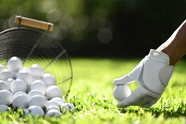 Main Tenir Balle Golf Avec Tee Sur Herbe Verte Pour — Photo