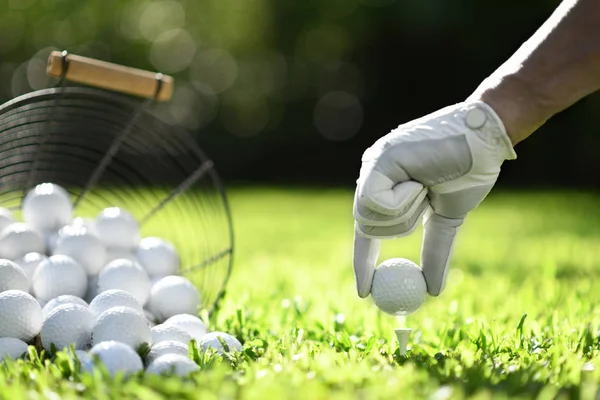 Mantenga Mano Pelota Golf Con Tee Hierba Verde Para Práctica —  Fotos de Stock