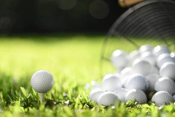 Golf Topu Tee Golf Topları Sepeti Uygulama Için Yeşil Çimenlerin — Stok fotoğraf