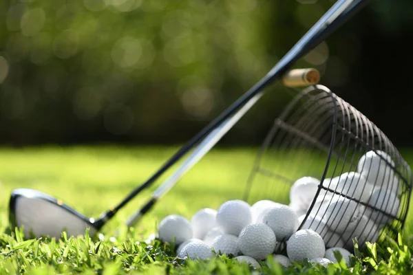 Balles Golf Dans Panier Clubs Golf Sur Herbe Verte Pour — Photo