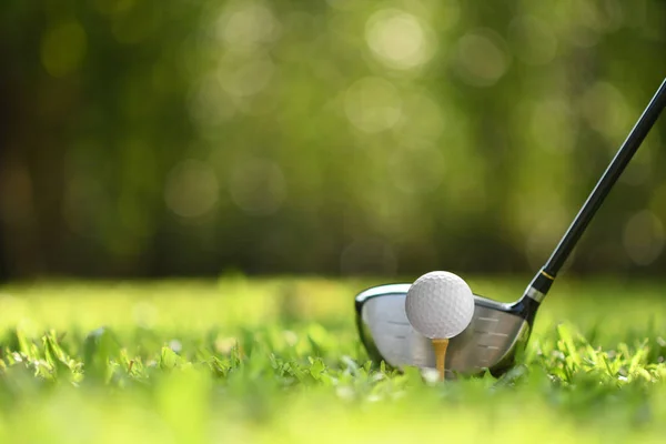 Bola Golfe Grama Verde Pronto Para Ser Atingido Fundo Campo — Fotografia de Stock