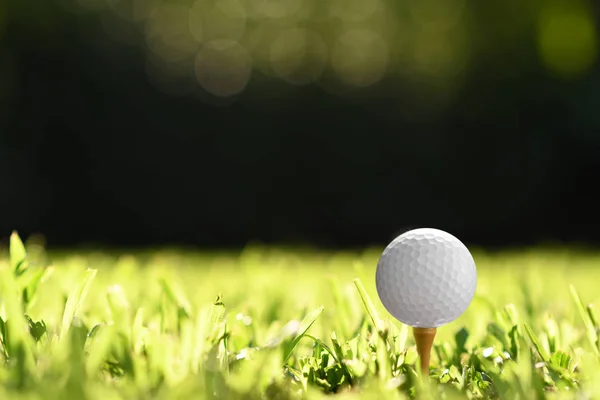 Bola Golfe Grama Verde Com Fundo Campo Golfe — Fotografia de Stock