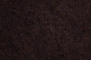 Üstten görünüm toprak arka plan hazırlamak bitki dikimi için