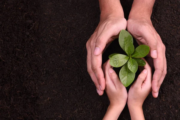 Människors Händer Koppning Skyddande Runt Ung Planta — Stockfoto