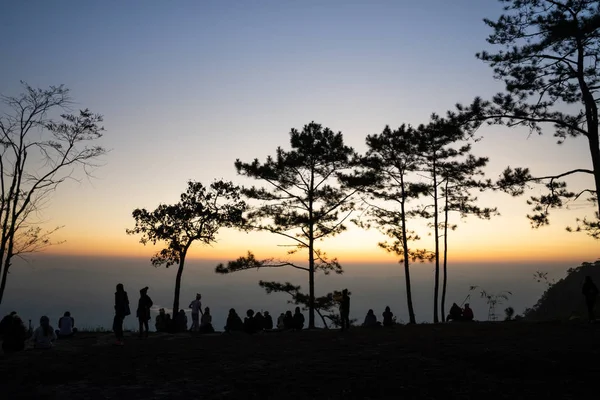 Image Sunrise Orange Yellow Horizon People Silhouette Surrounded Pine Trees — Stock Photo, Image