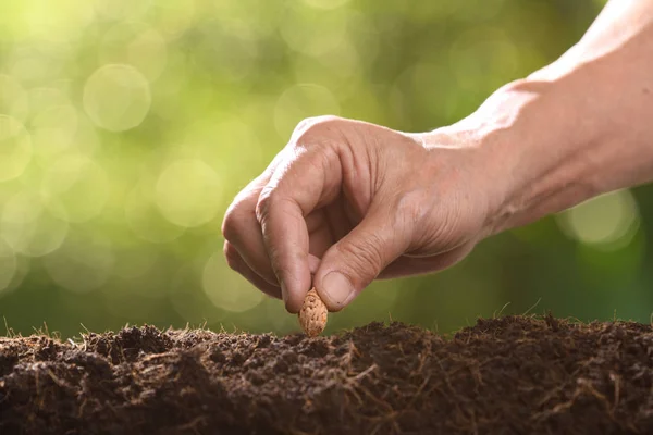 Ludzką Rękę Sadzenia Nasion Glebie — Zdjęcie stockowe