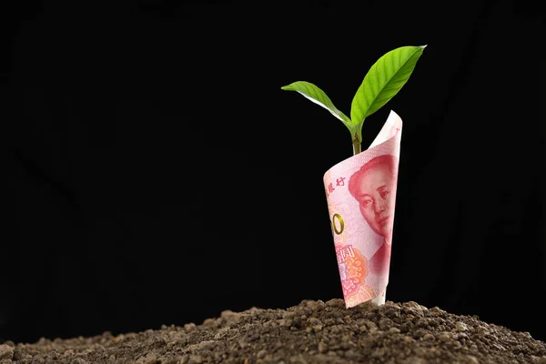 Obraz Chin Yuan Banknotów Roślin Rosnących Górze Dla Biznesu Zapisywanie — Zdjęcie stockowe