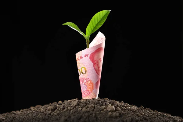Immagine Della Banconota Dello Yuan Cinese Con Pianta Che Cresce — Foto Stock
