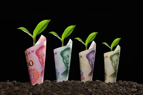 Afbeelding Van Bankbiljetten Rolde Rond Planten Bodem Voor Het Bedrijfsleven — Stockfoto