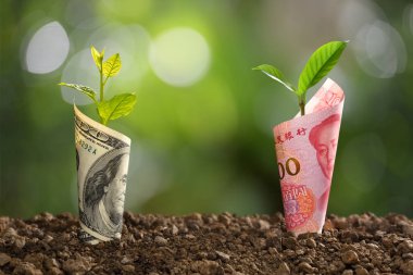 Görüntü Çin Yuan banknot ve ABD Doları banknot ile iş, kaydetme, büyüme, ekonomik kavram için üstte büyüyen bitki 