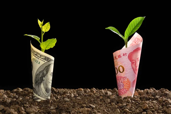 Obraz Chin Yuan Banknotów Nas Banknot Dolar Roślin Rosnących Górze — Zdjęcie stockowe