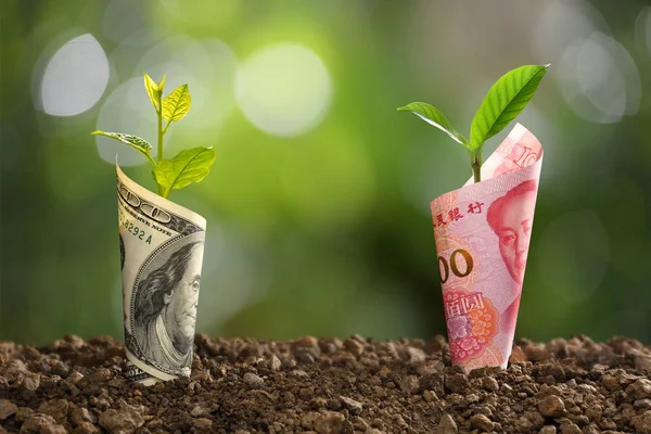 Image of China Yuan banknote and US dollar banknote with plant growing on top for business, saving, growth, economic concept