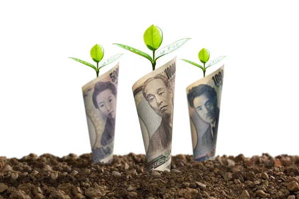 Obrazu Japoński Jen Banknotów Roślin Rosnących Górze Dla Biznesu Zapisywanie — Zdjęcie stockowe