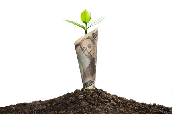 Japoński Jen Banknot Roślin Rosnących Górze Dla Biznesu Zapisywanie Wzrostu — Zdjęcie stockowe