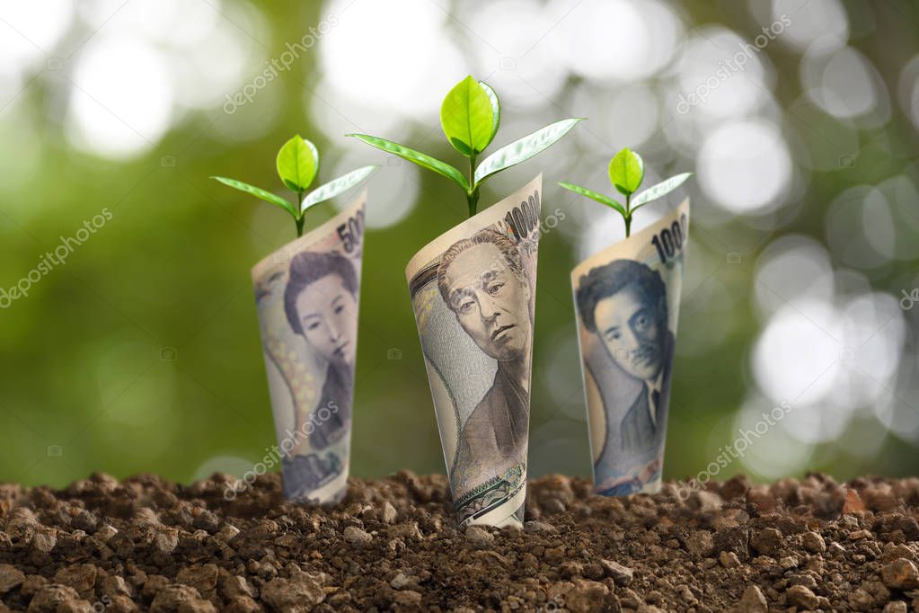  Image of Japanese yen banknotes  with plant growing on top for business, saving, growth, economic concept