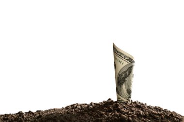 Bize görüntü Doları banknot kaydetme, büyüme, ekonomik kavram beyaz arka plan üzerinde izole iş için toprak üstüne