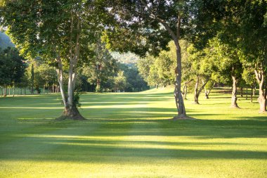 Güneşli bir gün güzel bir golf sahası