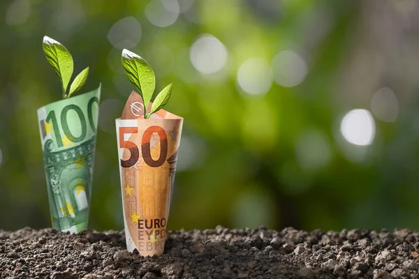 Зображення Банкноти Євро Гроші Рослинництва Вершині Бізнесу Збереження Зростання Економічні — стокове фото