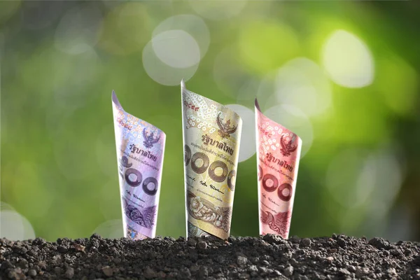 Obraz Pieniądze Tajski Banknotów Wierzchu Gleby Dla Biznesu Zapisywanie Wzrostu — Zdjęcie stockowe