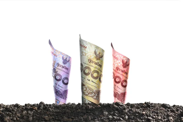 Obraz Pieniądze Tajski Banknotów Wierzchu Gleby Dla Biznesu Zapisywanie Wzrostu — Zdjęcie stockowe