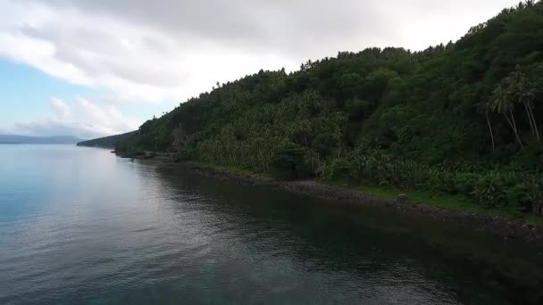 Drone glisser sur le côté d'une île tropicale. Eaux calmes, belle plage et palmiers. Île de Limasawa, Sud de Leyte, Philippines.