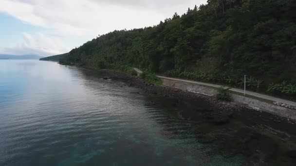 섬에서는 드론이 미끄러지고 있습니다 아름다운 야자나무 필리핀 레이테에 마사와 — 비디오
