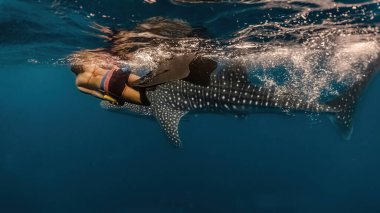 Genç bir kadın büyük bir balina avıyla yüzüyor. Whaleshark izlemek Pintuyan, Güney Leyte, Filipinler 'de ünlü bir turistik merkezdir..