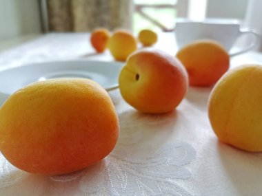 Olgun taze sarı ve kırmızı kayısı yuvarlak beyaz işlemeli masa örtüsü ile kaplı yuvarlak beyaz çay fincanı ve tabak ve yaz günü arka planda balkon kapısı yakınma.