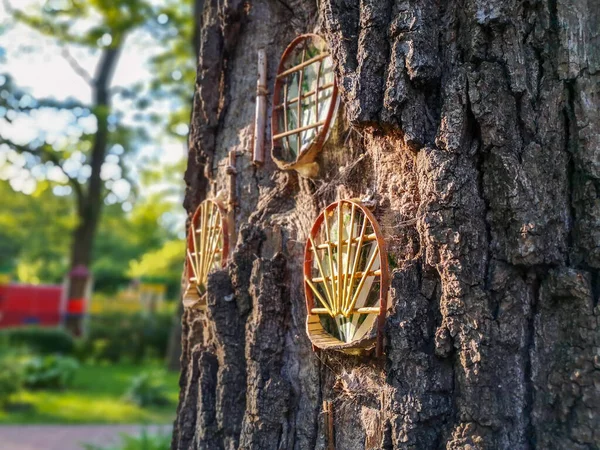 Şehir Parkındaki Bir Ağaç Gövdesine Yerleştirilmiş Ahşap Kemerli Yuvarlak Başlı — Stok fotoğraf