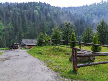 Köy çitleri boyunca uzanan yol bir kulübeye ve Ukrayna 'nın Karpat dağlarının dibindeki yemyeşil ormanın ortasında bir odun yığınına uzanıyor. Yalnız, sessiz bir dinlenme yeri. İnsanlar olmadan..