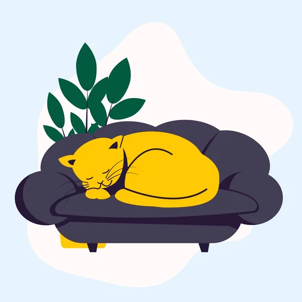 Gato Amarelo Dormindo Sofá Enrolado Uma Bola Animais Estimação — Vetor de Stock