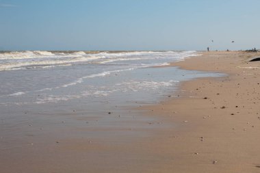 Deniz kıyısı. Beach. Azak Denizi. Kopya alanı. Metin için bir yer var. Yaz kavramı.
