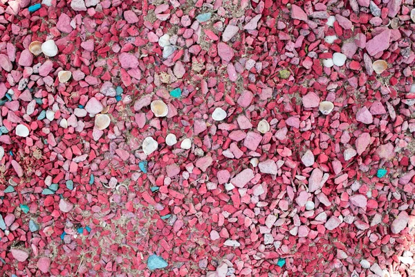 Rosa Kieselsteine Mit Muscheln Verschiedenen Farben Und Größen Hintergrund Kopierraum — Stockfoto