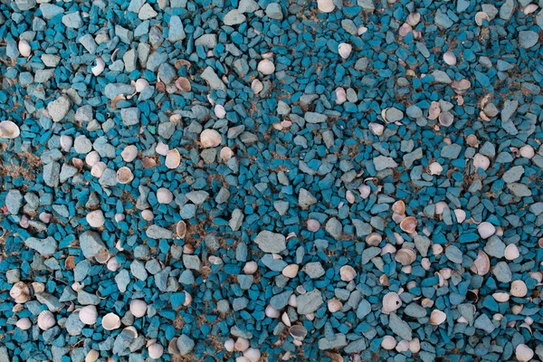 Blue Pebbles Shells Different Color Size Background Copy Space Place — Stock Photo, Image