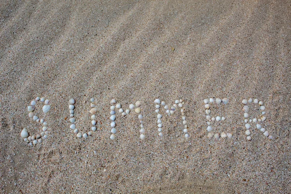 Het Woord Zomer Aangelegd Het Zand Met Schelpen Vrije Ruimte — Stockfoto