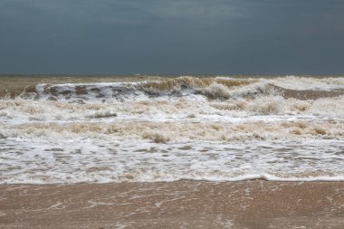 Kelime deniz, Rusça, kabukları ile kum üzerine serilir. Boş alan var, metin için alan var. Arka plan.